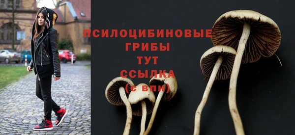 бутират Вяземский